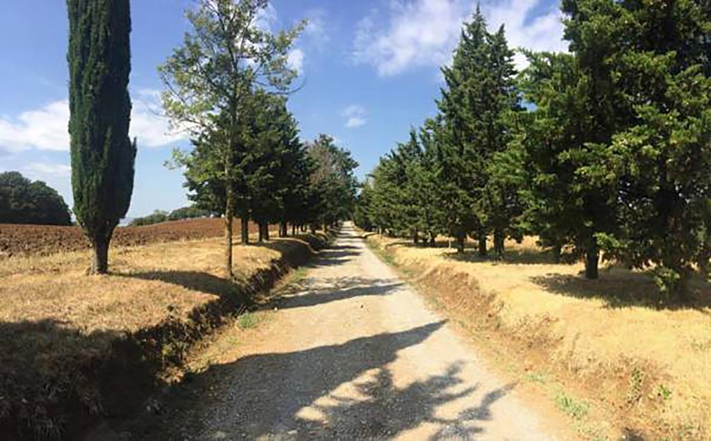 Agriturismo Ipoderi Chianciano Terme Exteriör bild
